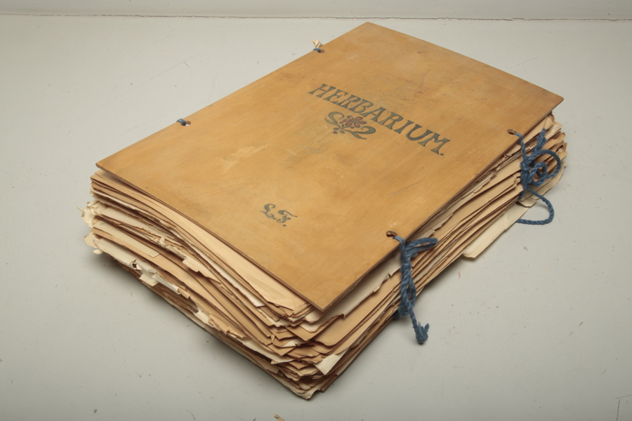 Herbarium 1900-tal