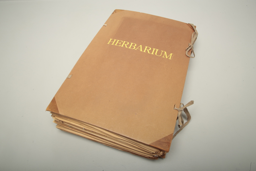 Herbarium 1930-tal