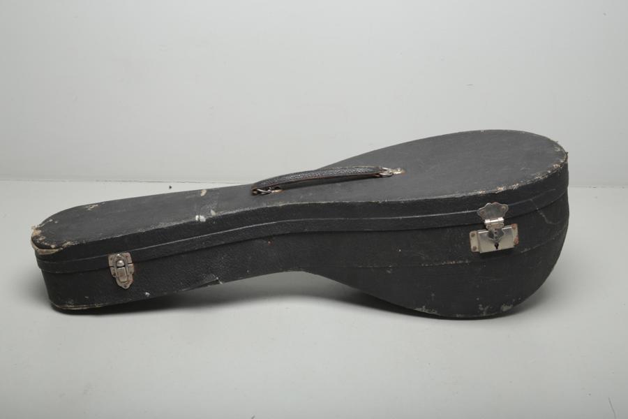 Mandolin 1900-tal