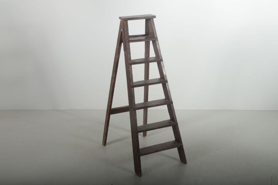 Stege trä, 1900-tal