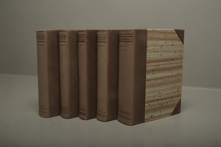 Böcker Victor Rydberg, 5 stycken, Halvfranska band