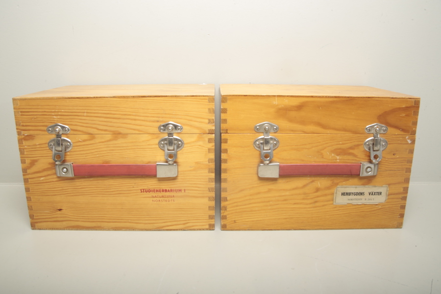 Herbarium 2st. "Studie & Hembygdens växter"