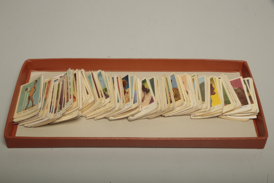 Filmisar parti osorterat. 