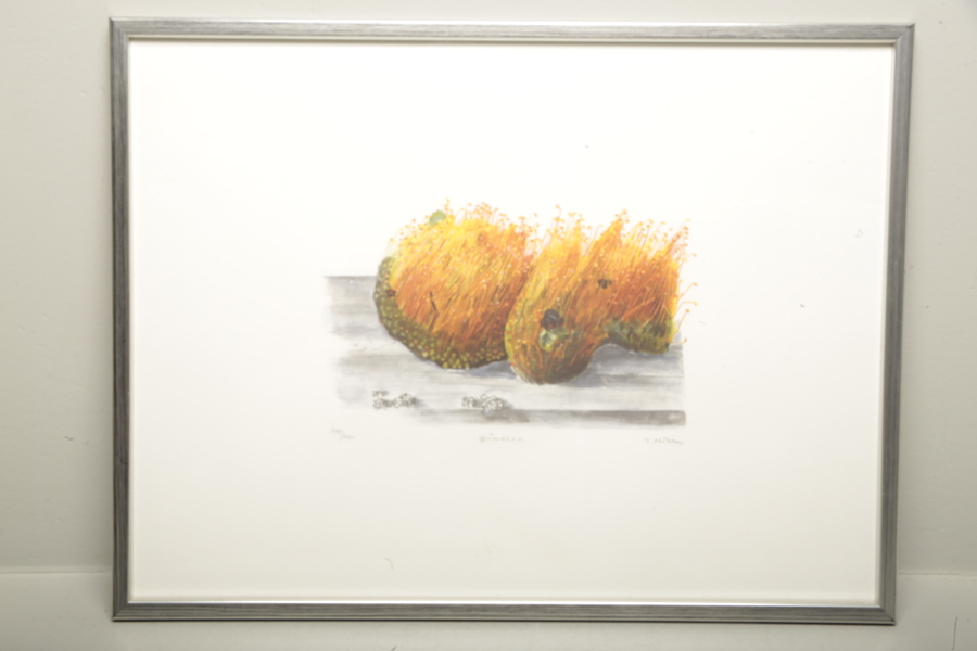 Ingegerd Möller färglitografi "Spåmossa" signerad