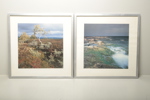 Tavlor, foton, osignerad, 2st 