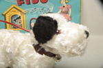 Leksakshund "Fido", mekanisk, 1950-tal 