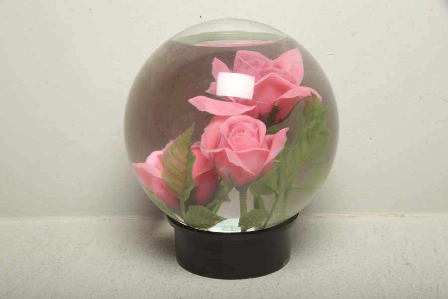 Rosengömma, 1900-tal 