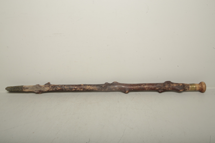 Promenadkäpp, 1900-tal 