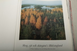 Bok, "Hälsingland, ett bildverk" 