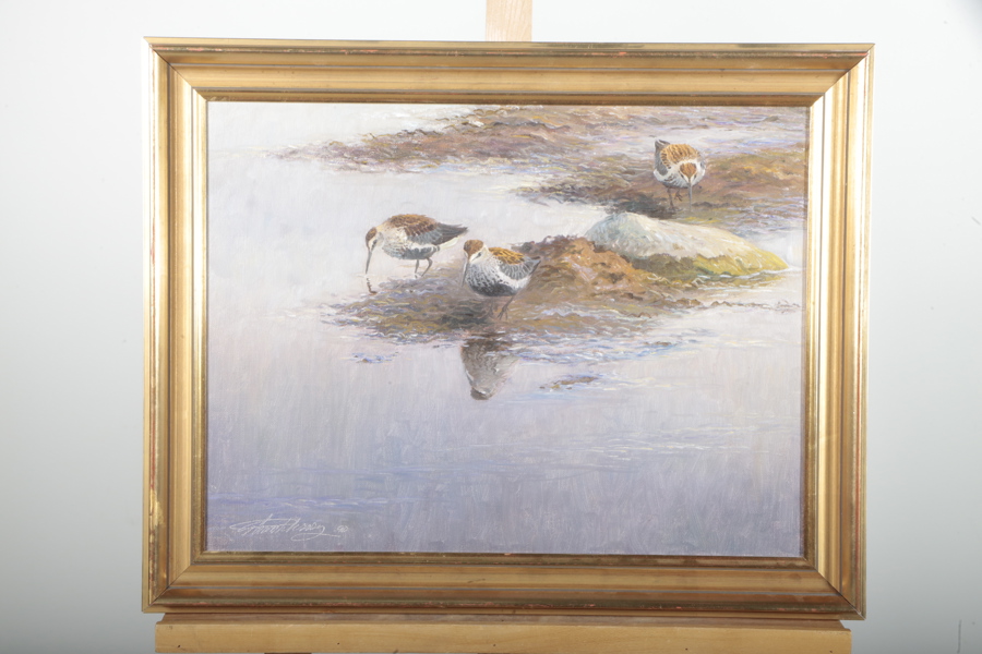 Göran Petersson, Olja på duk "Kärrsnäppor", Signerad-90