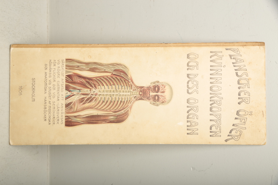 "Planscher övfer kvinnokroppen och dess organ", Av: D:r Meyer 1905