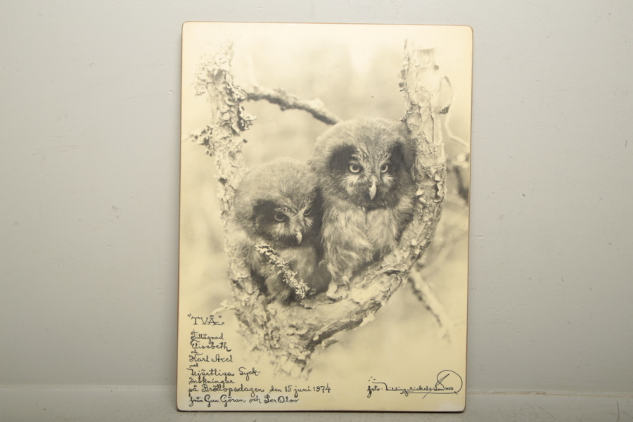 Hilding Mickelsson- Foto, Signerad: 1958