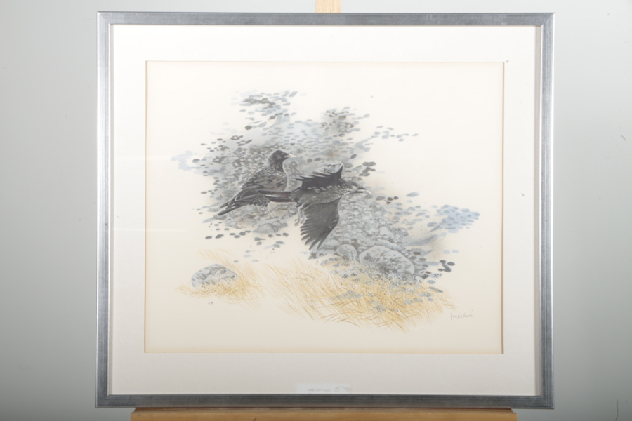 Jan Rhodin, Färglitografi, Signerad: EA