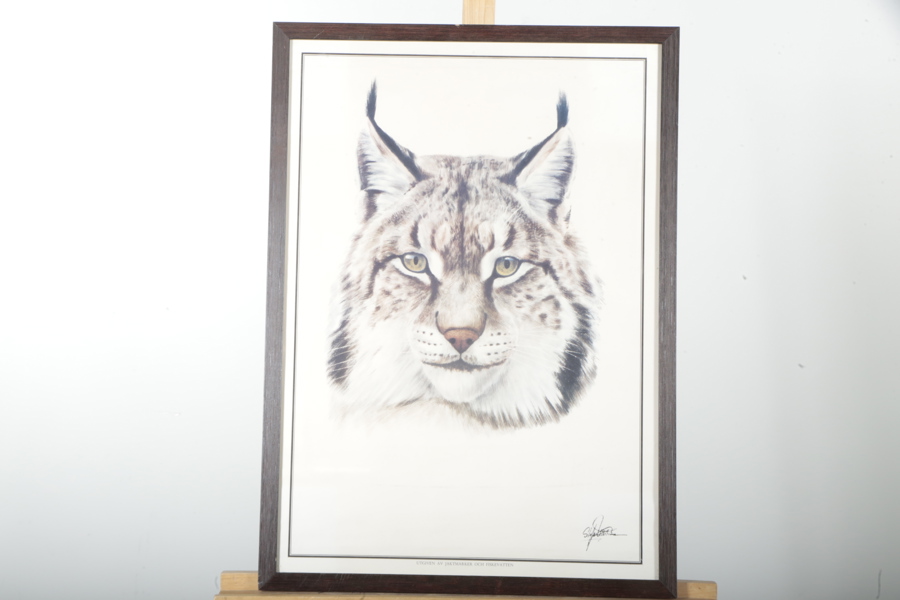 Poster- Stefan Ullström "Lodjur"