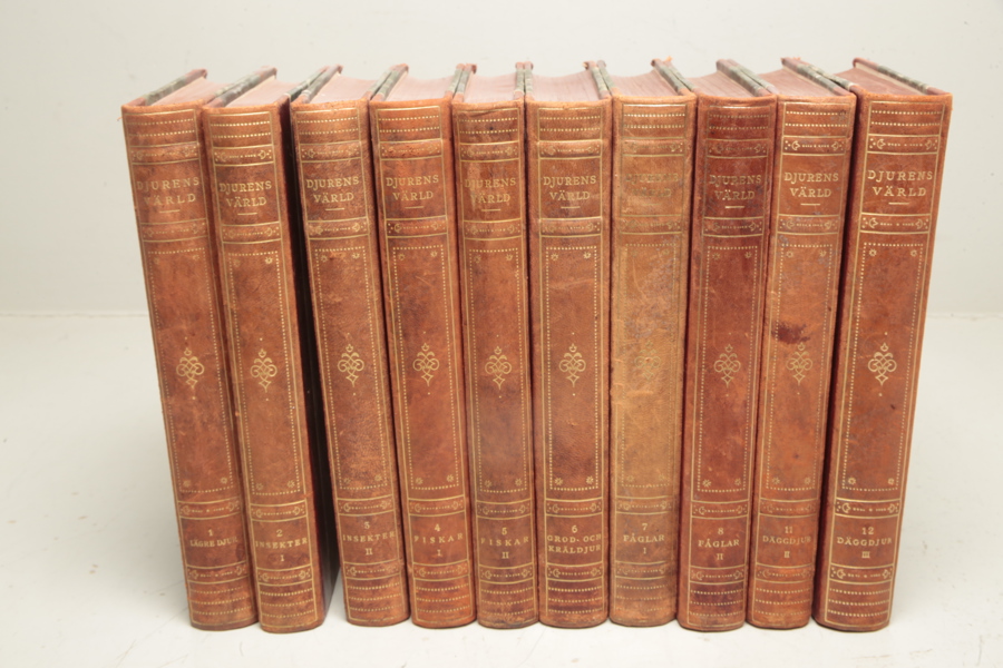 Bokband- "Djurens värld", Utarbetad av: Ingvald Lieberkind