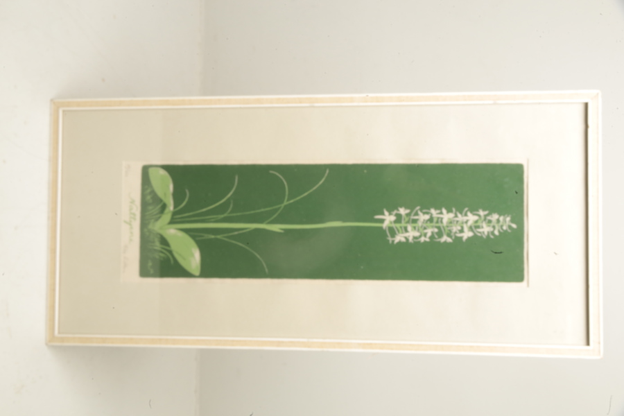 Rolf Lindberg- Färglitografi "Nattyxne", N:o 69/250, Signerad-64