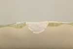 Syco-Terrin, N:o 118-EM
