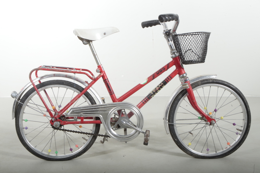 Cykel för barn- "DBS-Team", 16"