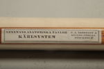 Anatomisk karta- "Kärlsystemet"