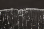 Iittala "Ultima Thule", Servisdelar, 21-Delar