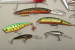 Wobblers, 11st