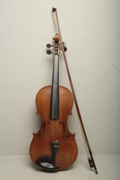 Fiol, 1900-tal 