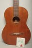 Akustisk Gitarr 