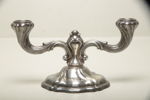Silverljusstake 