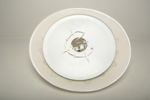 Takplafond, 1900/2000-tal, Jugends-stil