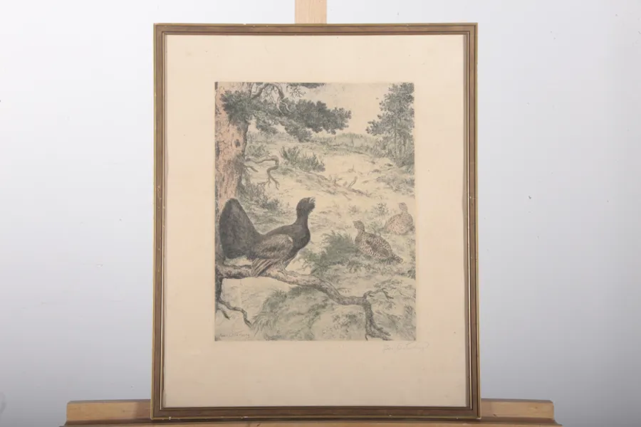 Axel Österberg- Etsning "Orrspel", Signerad