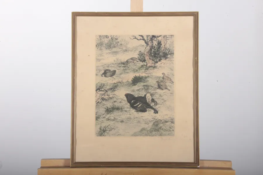 Axel Österberg- Etsning "Orrspel", Signerad