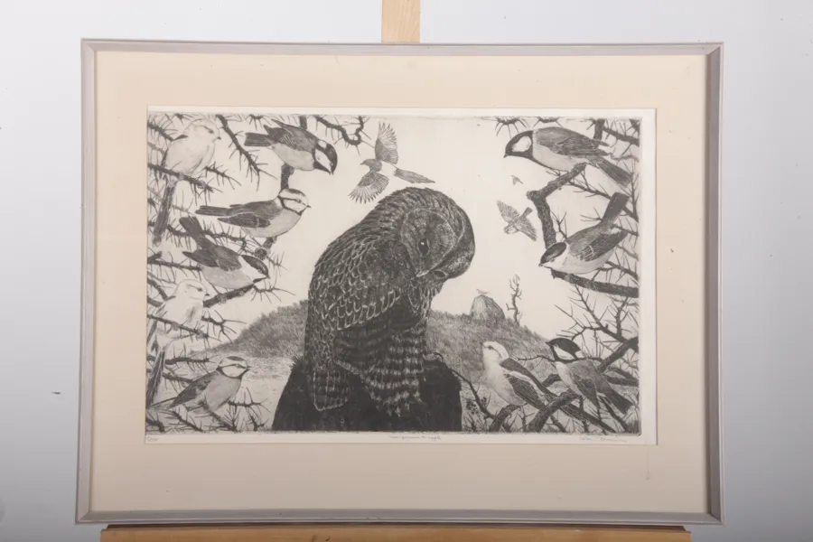 Göran Brunius- Litografi "Uggla", N:o 12/310, Signerad 