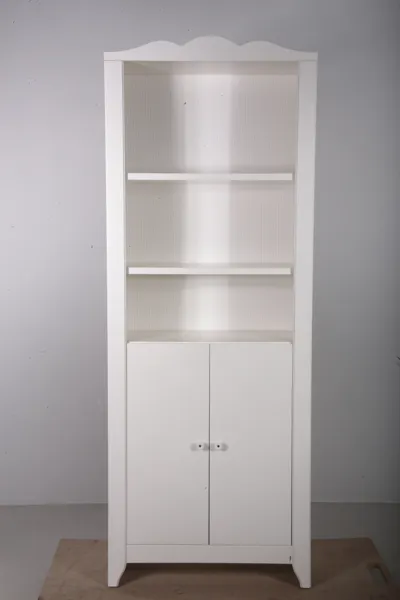 Bokskåp, Modern
